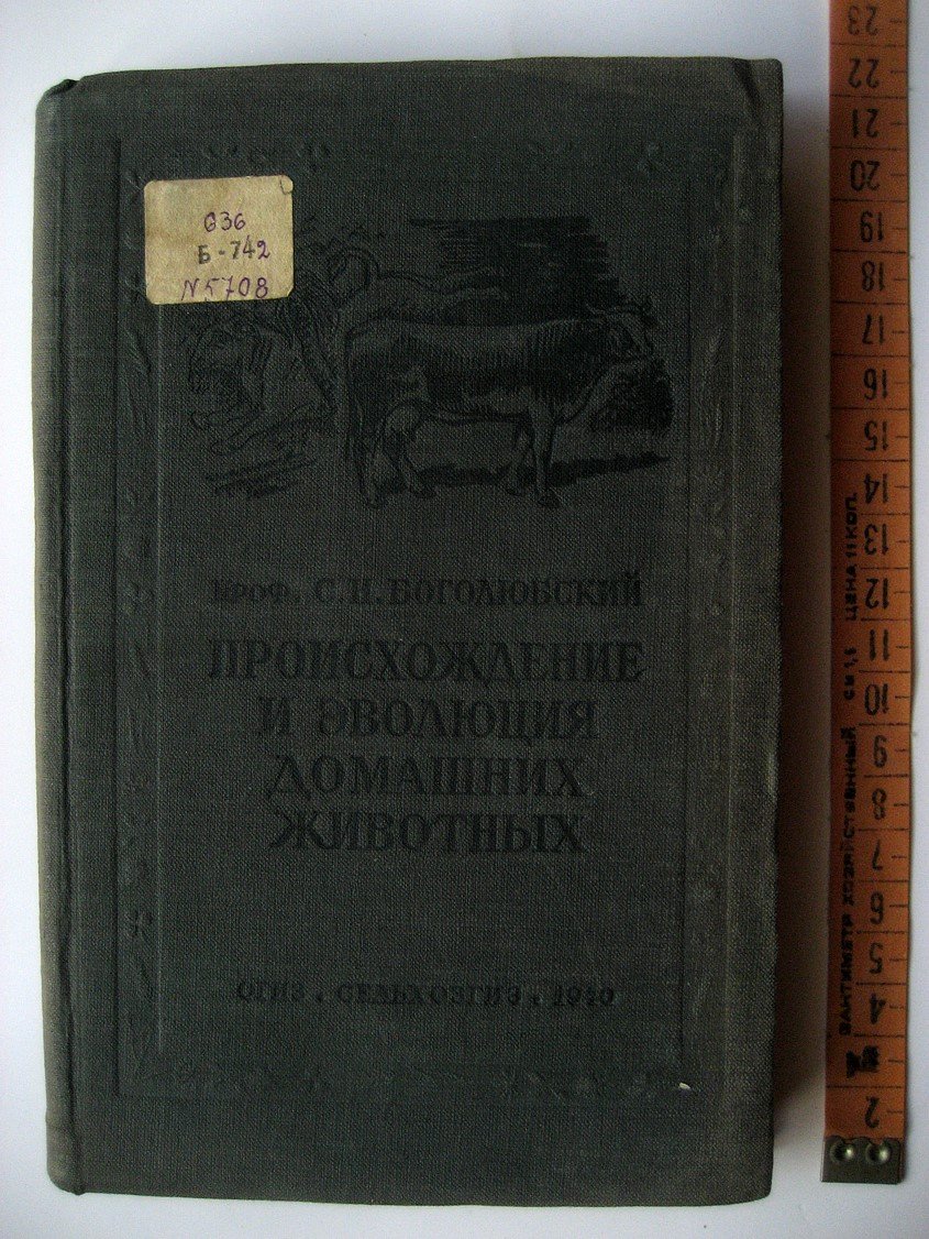 Боголюбский С. Происхождение и эволюция домашних животных.