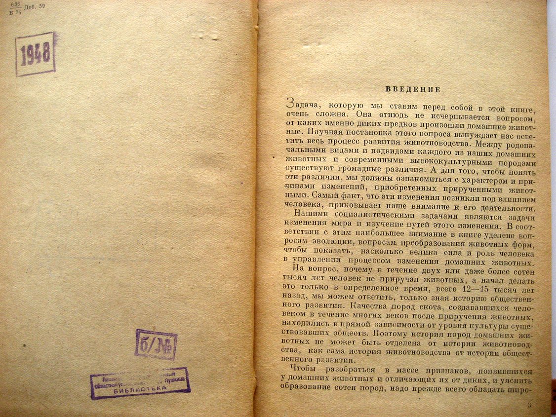 Боголюбский С. Происхождение и эволюция домашних животных.
