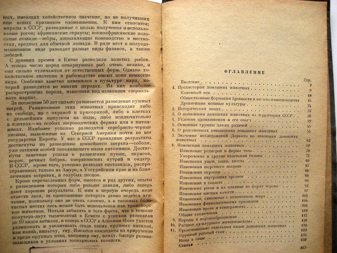 Боголюбский С. Происхождение и эволюция домашних животных.