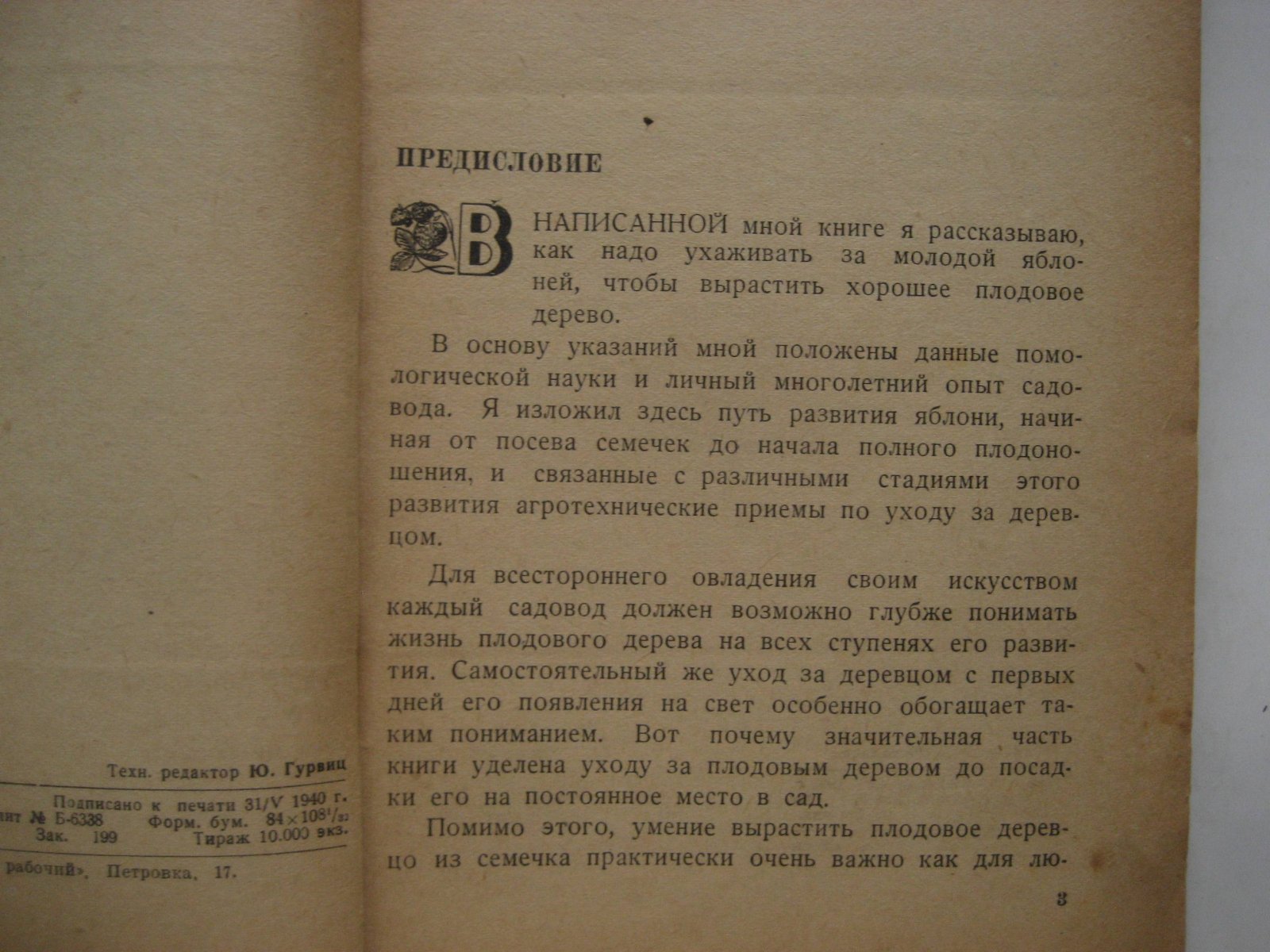 Смирнов Н. Как вырастить яблоню.