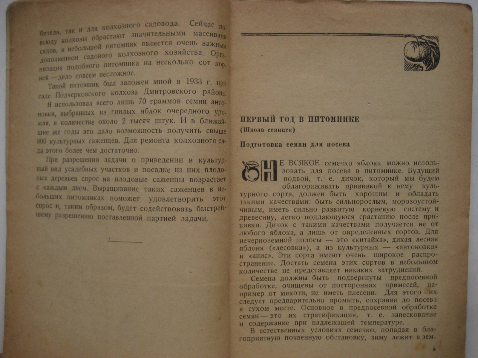 Смирнов Н. Как вырастить яблоню.