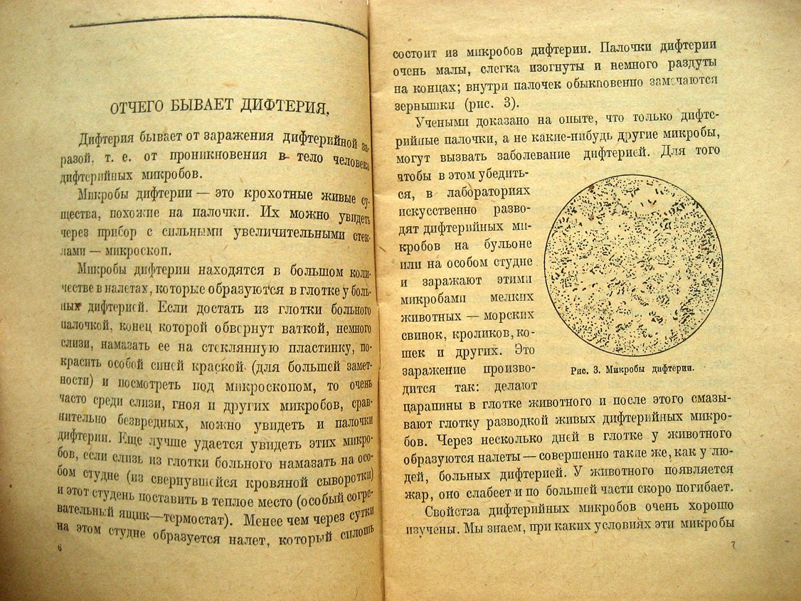 Соловьев В. Дифтерия и борьба с ней.