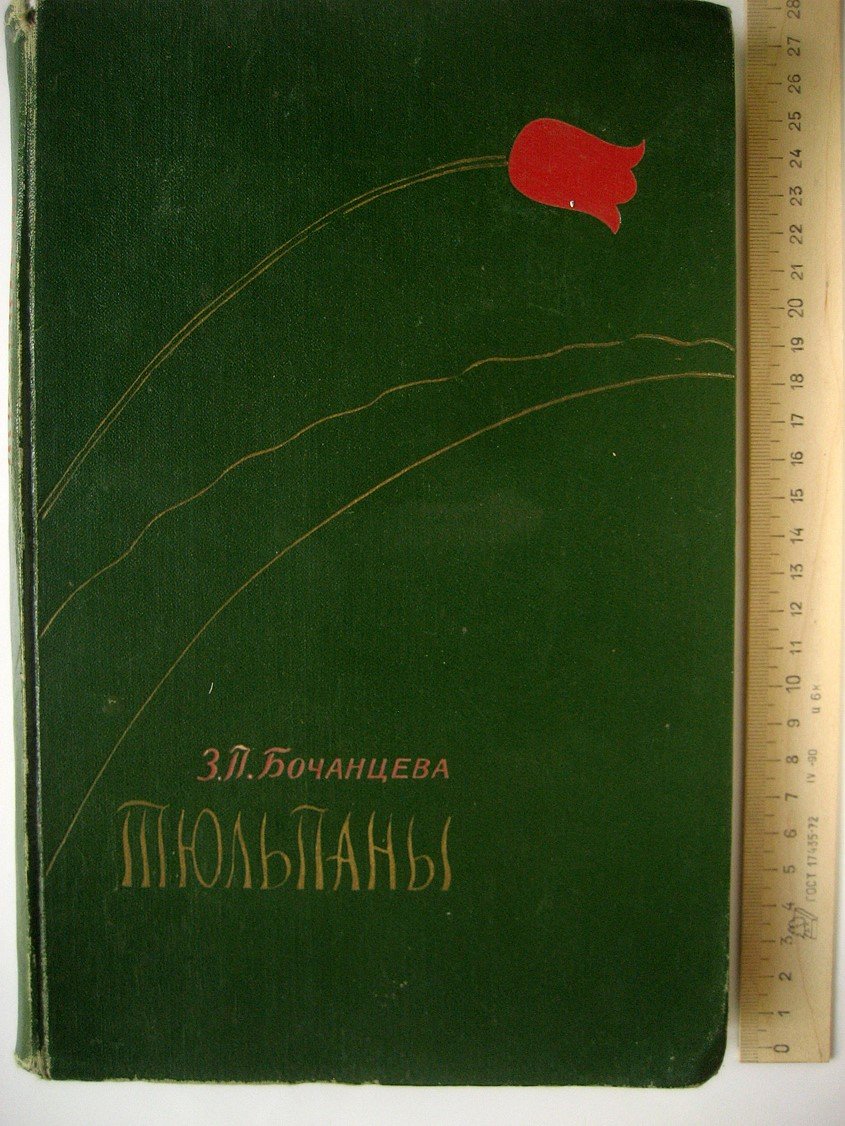 Бочанцева З. Тюльпаны. Морфология, цитология и биология
