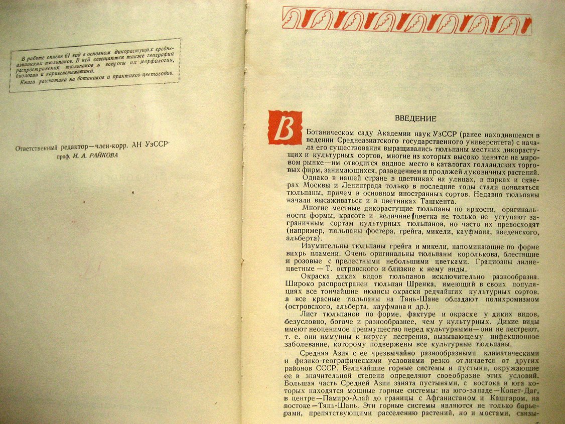 Бочанцева З. Тюльпаны. Морфология, цитология и биология