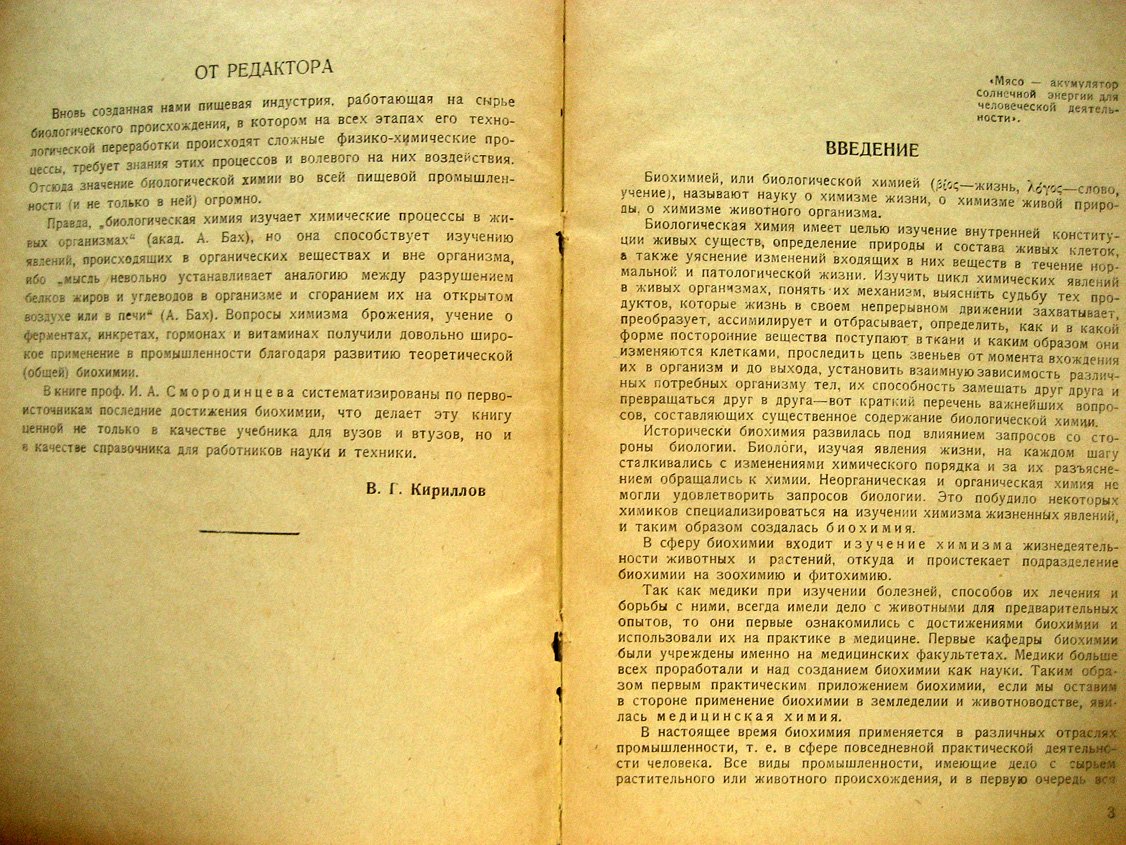 Смородинцев И. Общая биохимия.