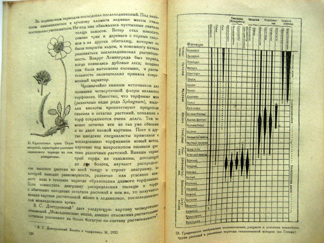 Комаров В. Происхождение растений.