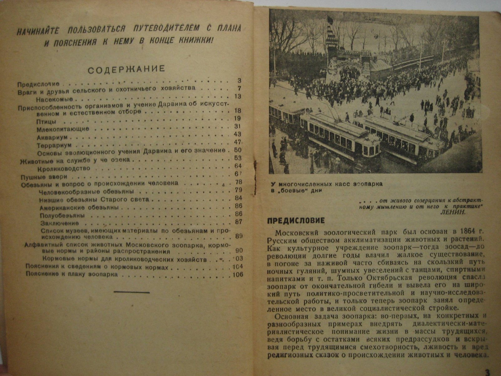 Московский зоопарк. Путеводитель