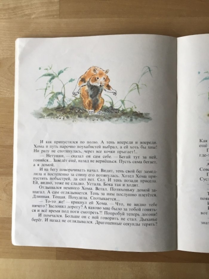 Иванов А. Приключения Хомы. Рисунки А. Келейникова