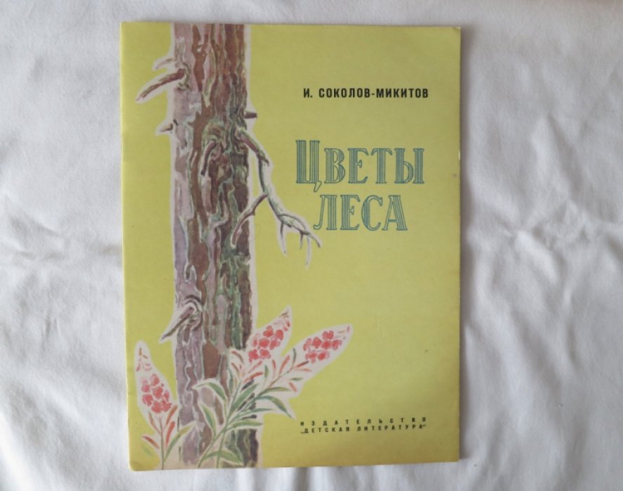 Соколов-Микитов И. Цветы леса.