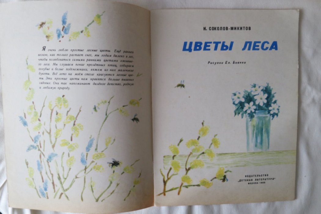 Соколов-Микитов И. Цветы леса.