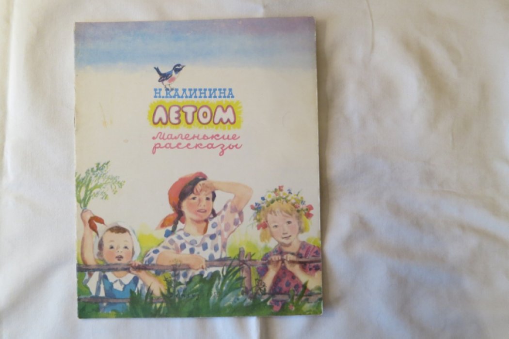 Калинина Н. Летом.