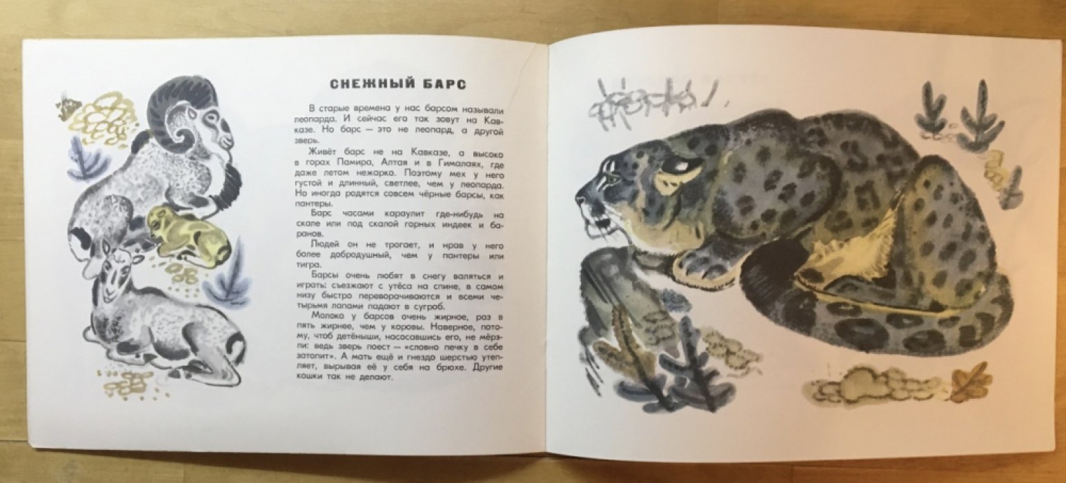 Акимушкин И. Это все кошки.