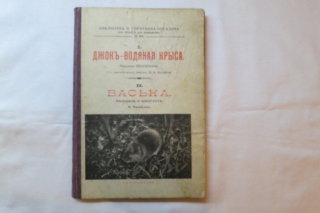 Бенсюзан/Михйлова. Джок - водяная крыса/Васька.