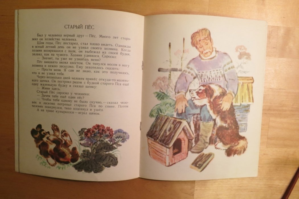 Сухомлинский В. Пусть будут и соловей, и жук.