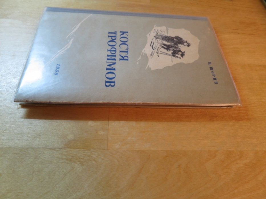 Шорин Н. Костя Трофимов.
