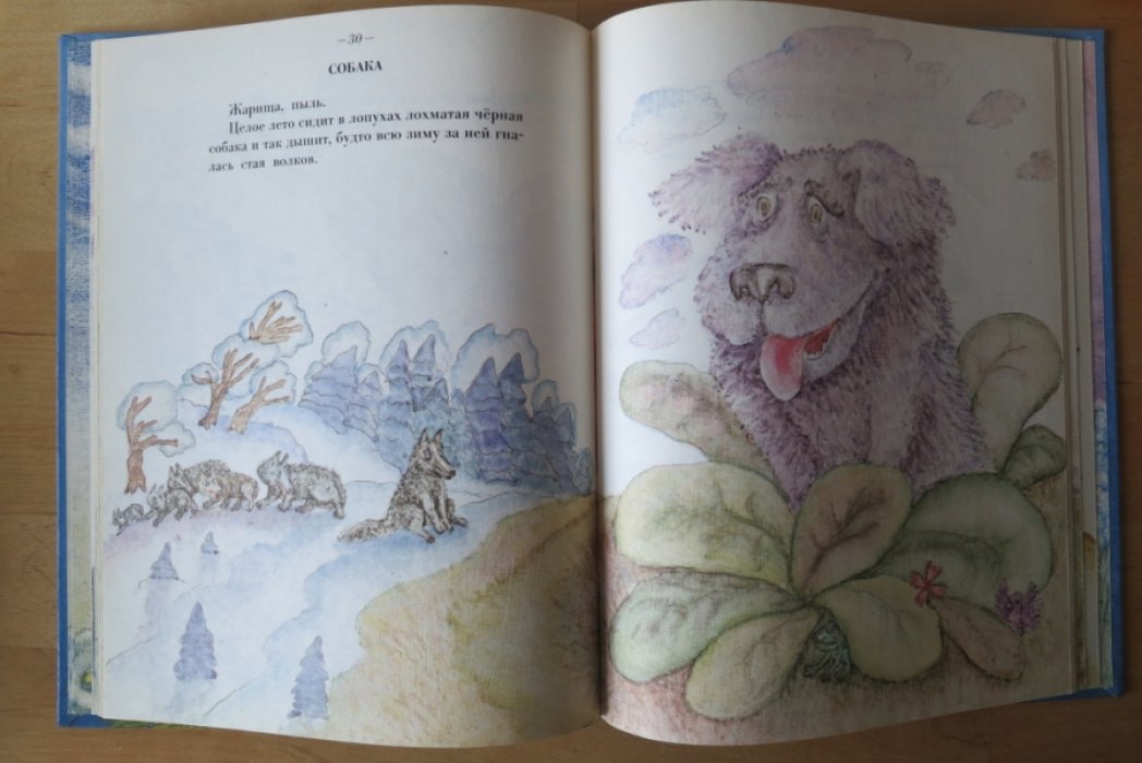 Козлов С., Шульгина Л. Цыпленок вечером.