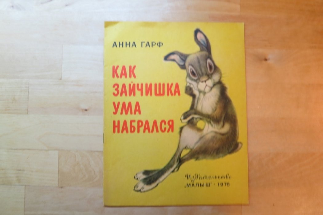 Гарф А. Как зайчишка ума набрался.