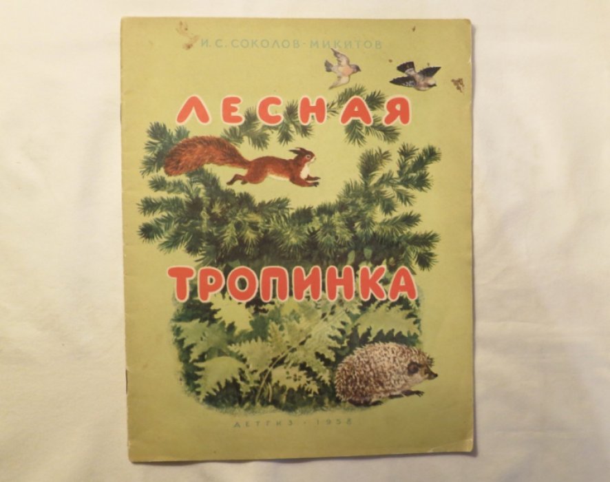 Соколов-Микитов И. Лесная тропинка.