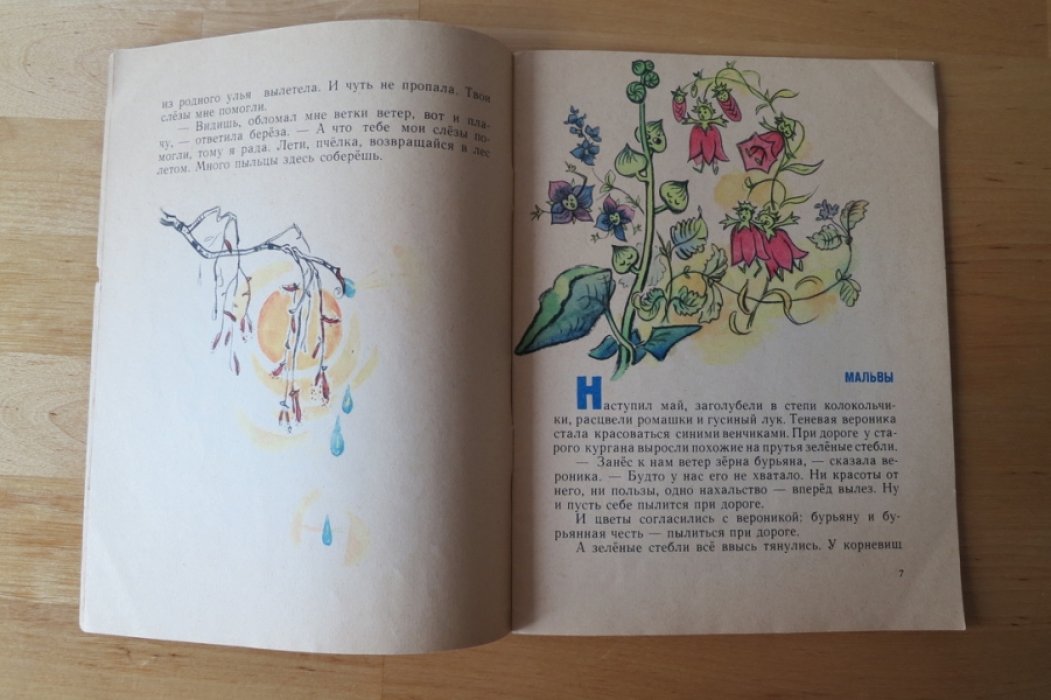 Шутов И. Березкины слезки. Сказки.