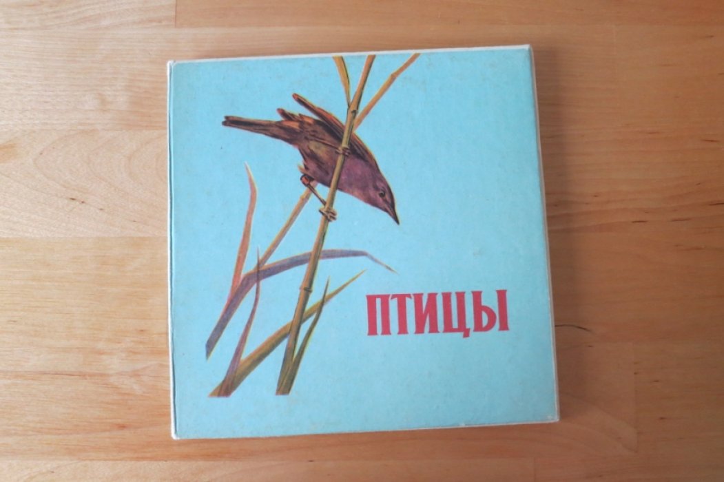 Птицы.