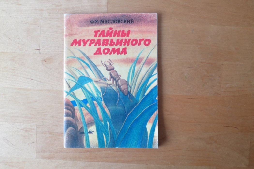 Масловский Ф. Тайны муравьиного дома.