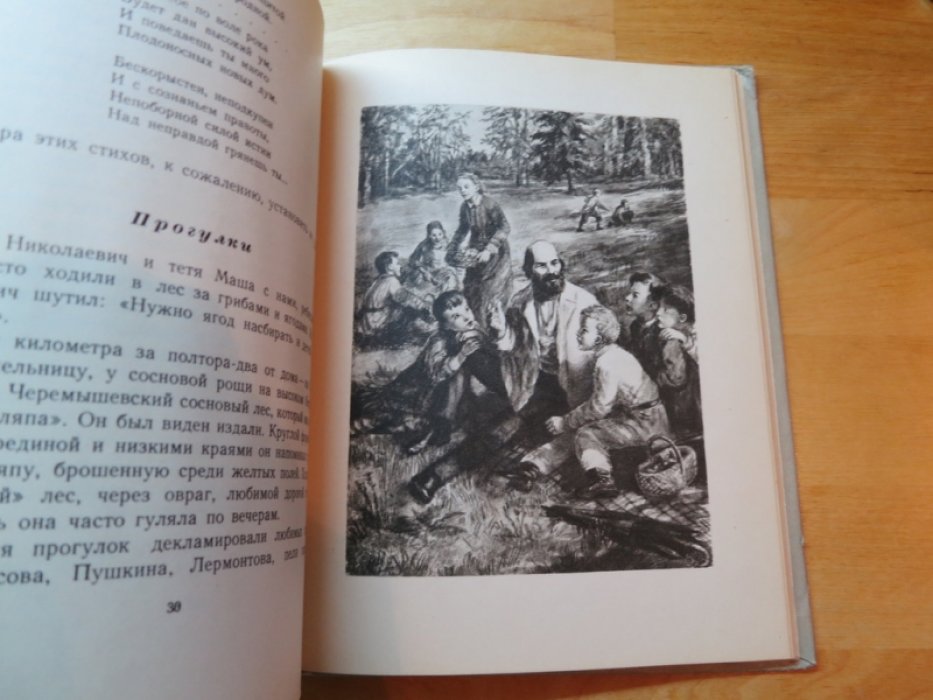 Веретенников Н. Володя Ульянов.