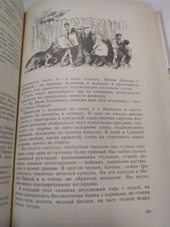 Голицын С. Сорок изыскателей. За березывыми книгами. Тайна старого Радуля