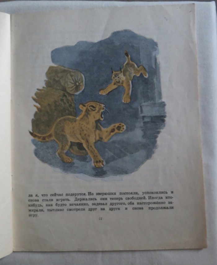 Чапина В. Кинули.