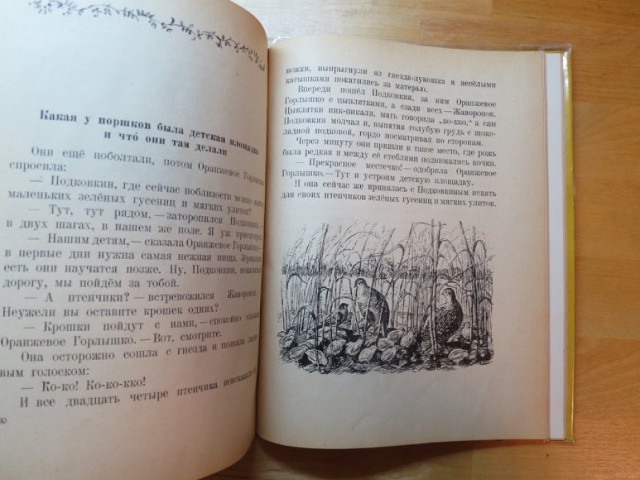 Бианки В. Оранжевое горлышко.
