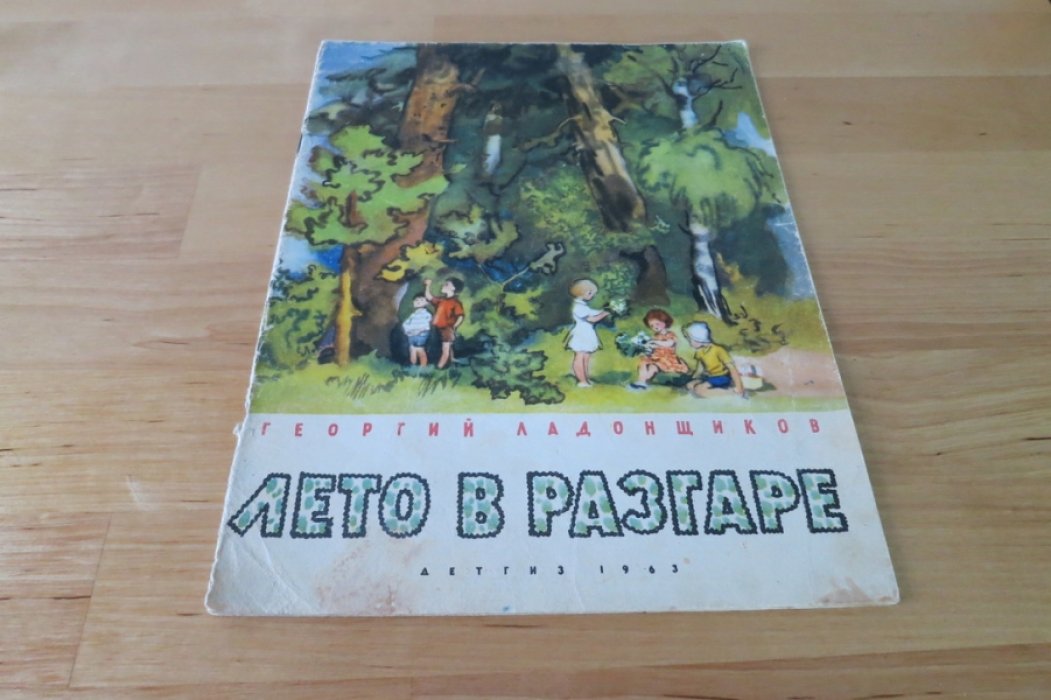 Ладонщиков Г. Лето в разгаре.