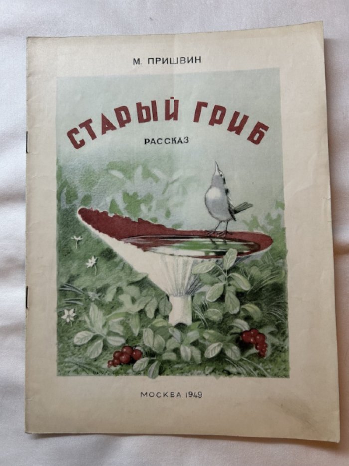 Пришвин М. Старый гриб.