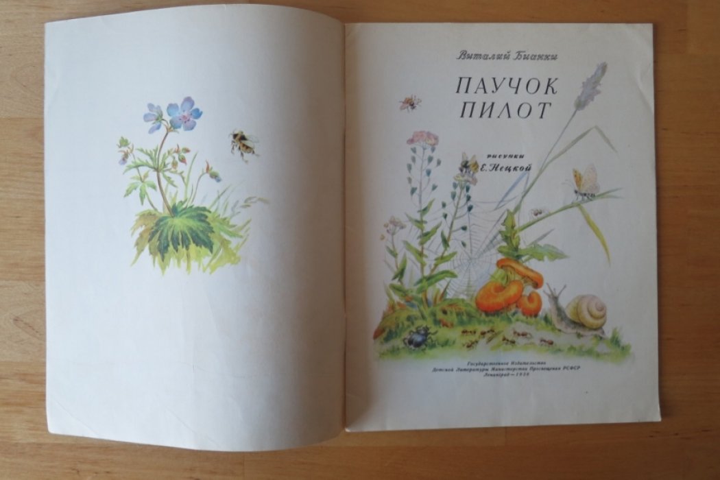Бианки В. Паучок пилот.