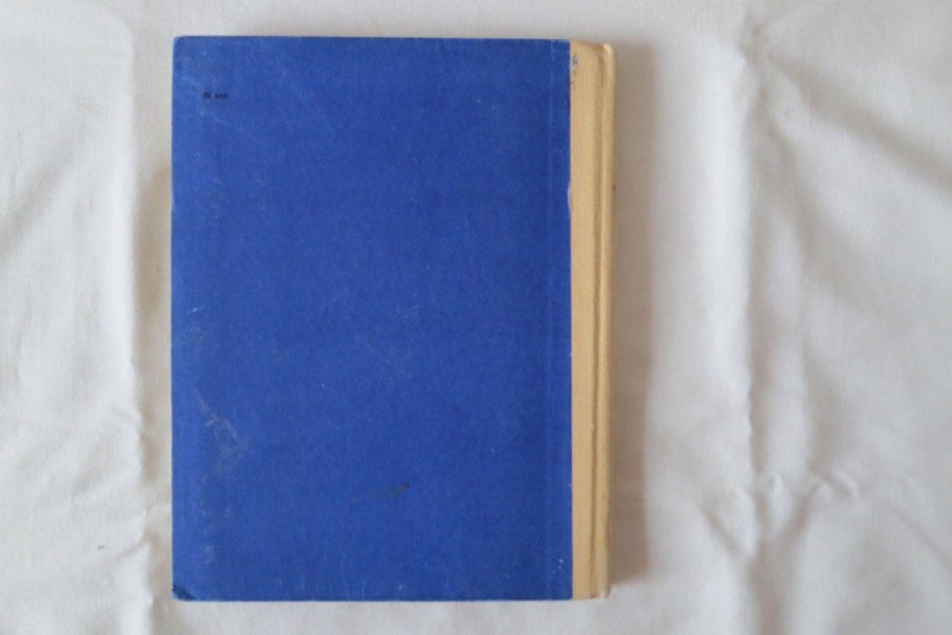 Воищев Ю.,Иванов А. Крах Мишки Мухоморкина.