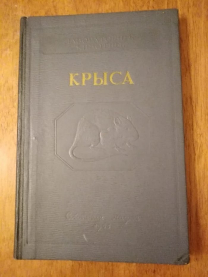 Гамбарян П., Дукельская Н. Крыса.