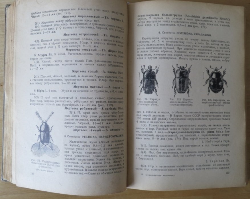Плавильщиков Н. Определитель насекомых.