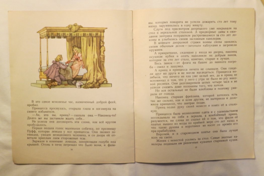 Перро Ш. Спящая красавица.