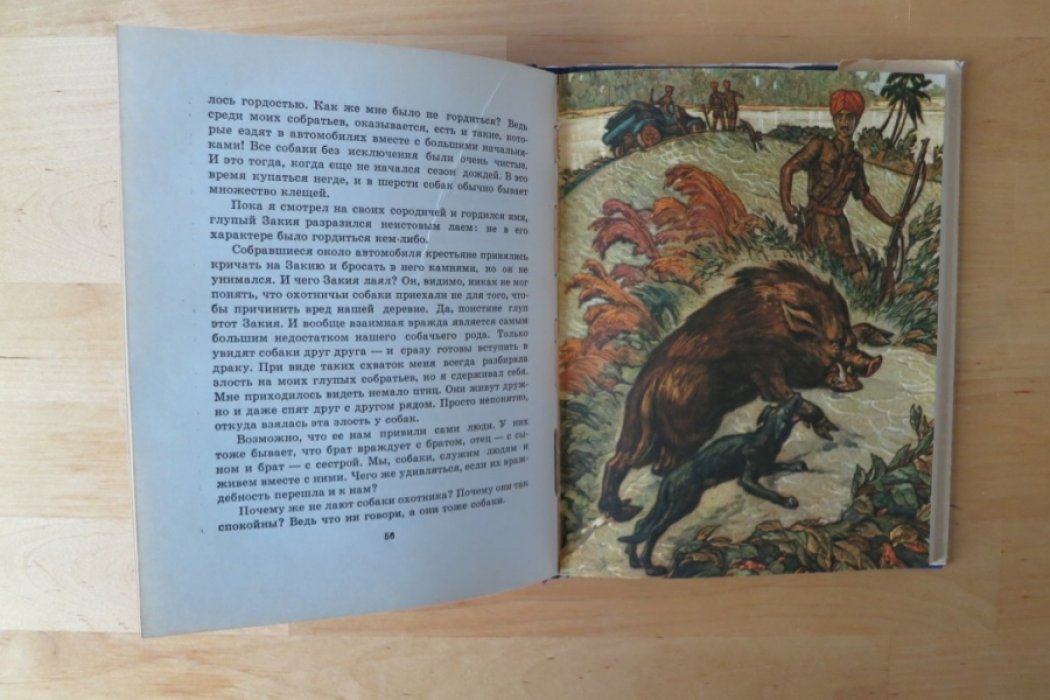Прем Чанд. Змеиный камень.