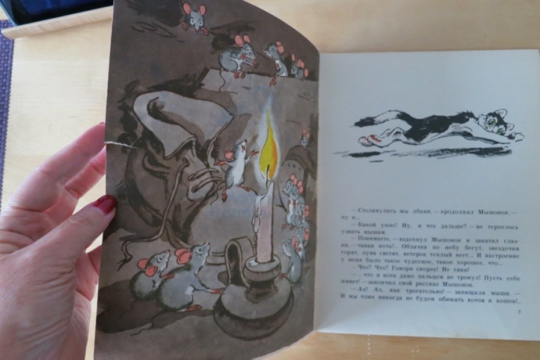 Михалков С. Аисты и лягушки.