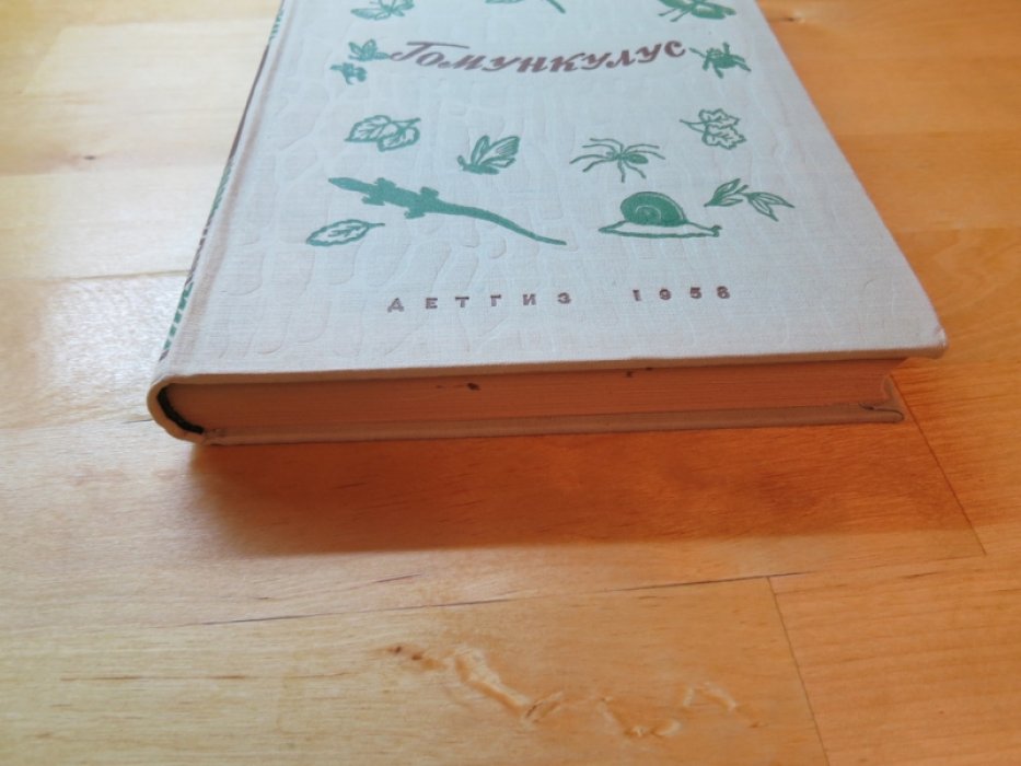Плавильщиков Н. Гомункулус.