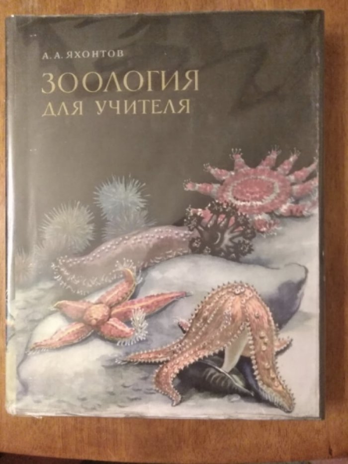 Яхонтов А. Зоология для учителя.