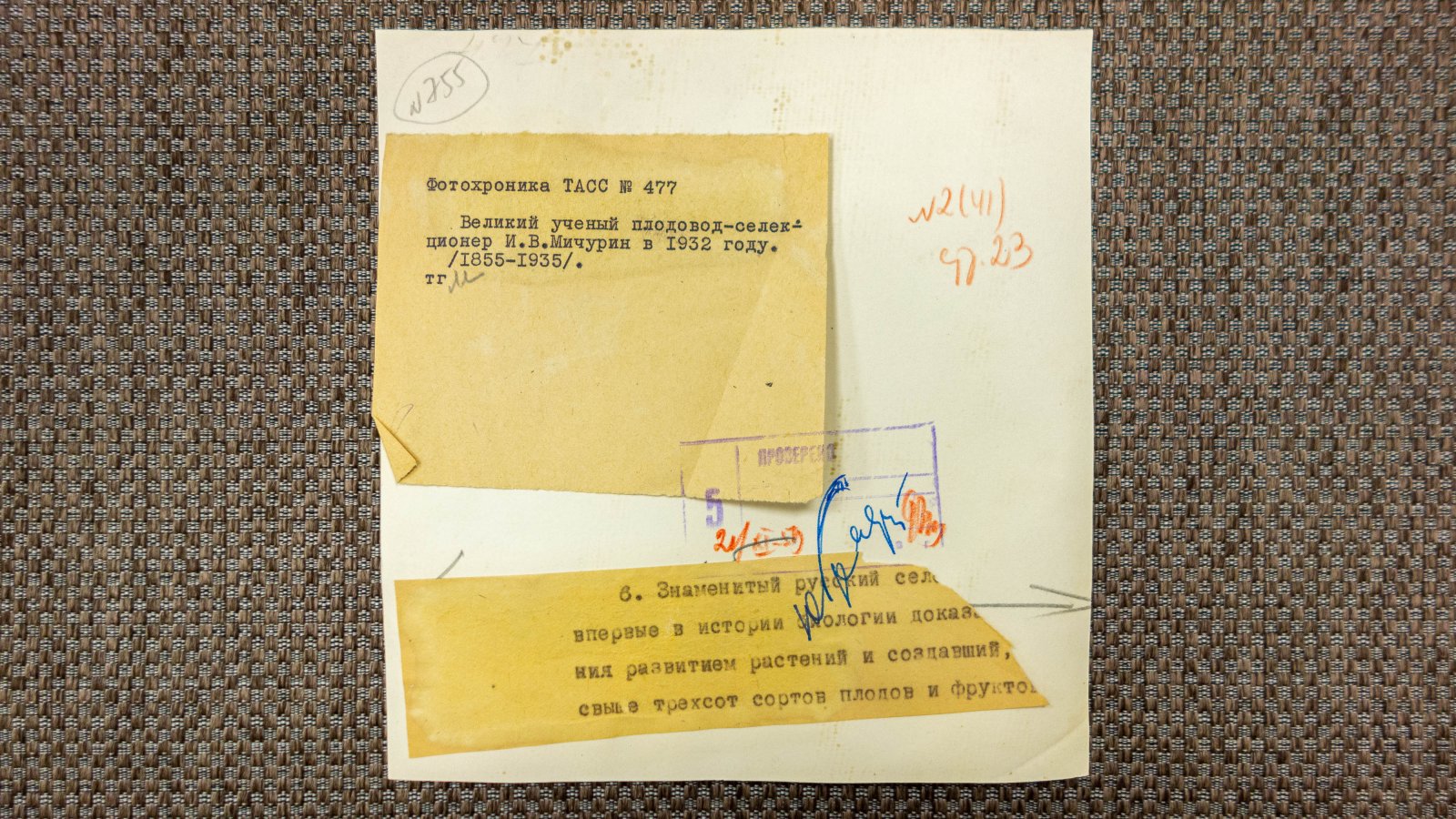Мичурин, Н.В. Фотопортрет.