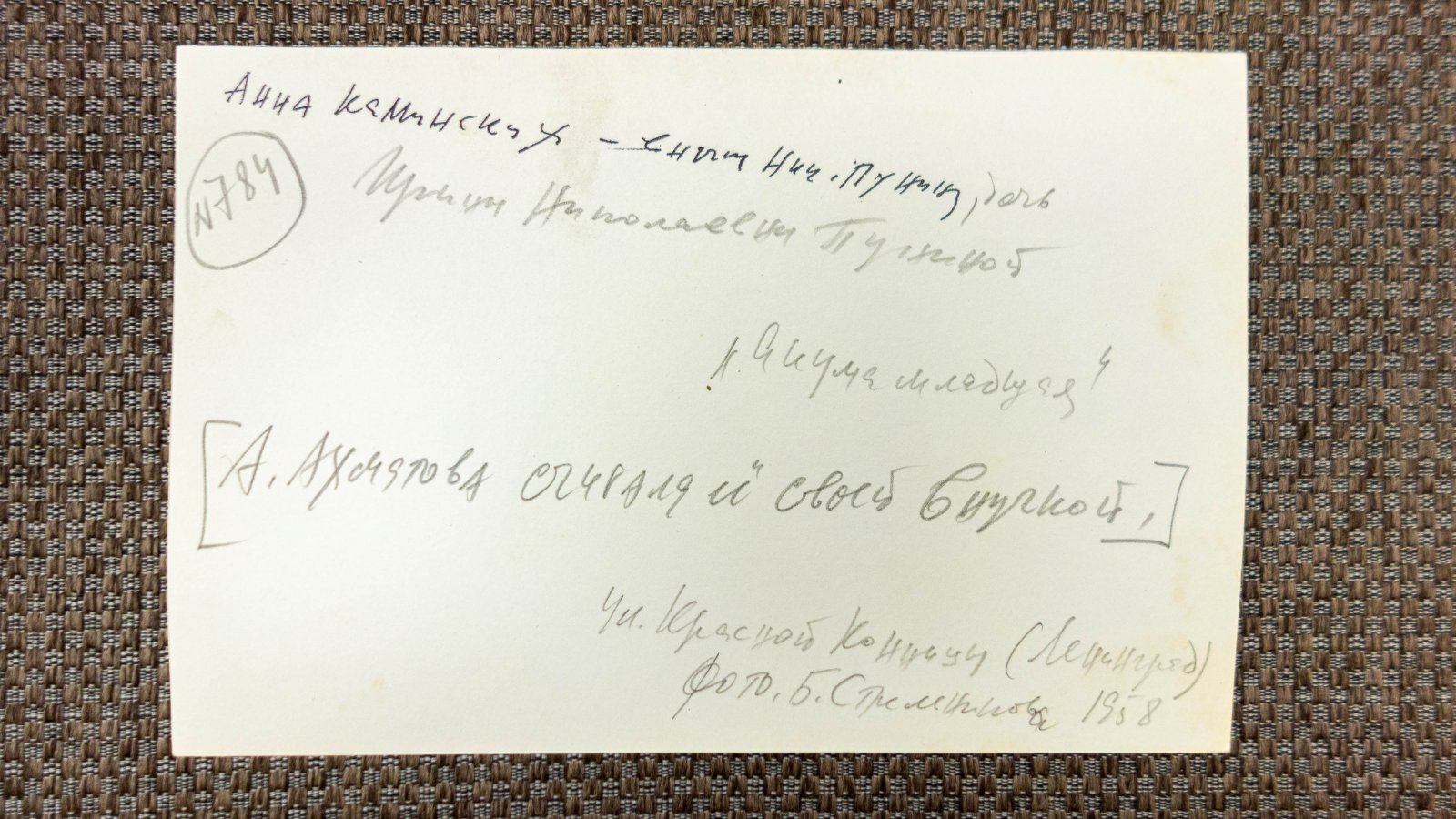 Каминская, А. Внучка Николая Пунина.