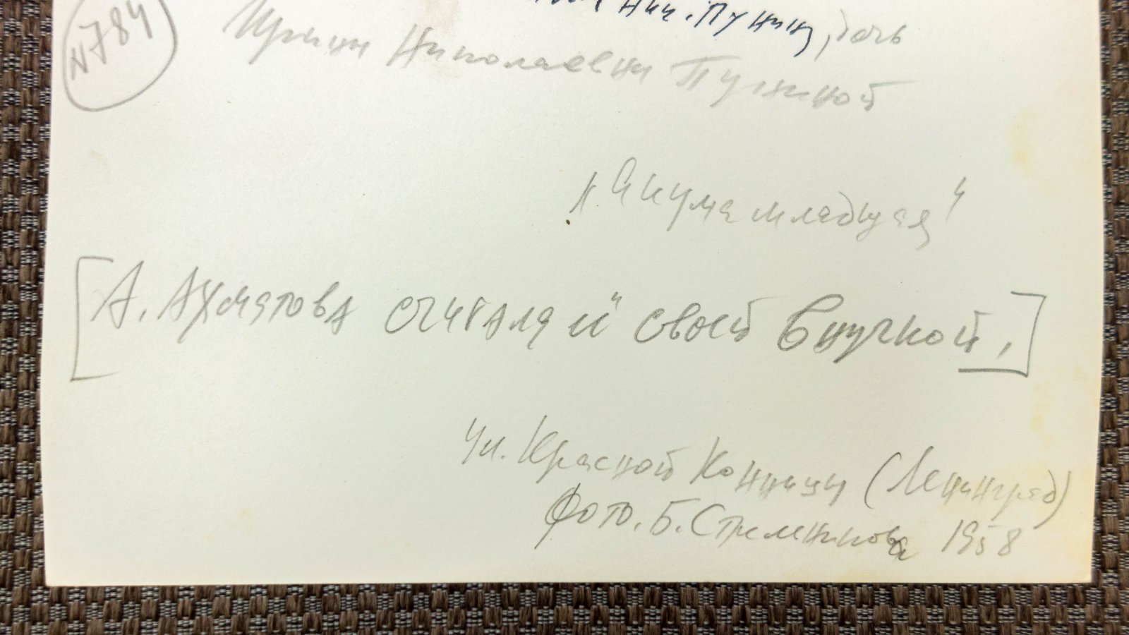 Каминская, А. Внучка Николая Пунина.