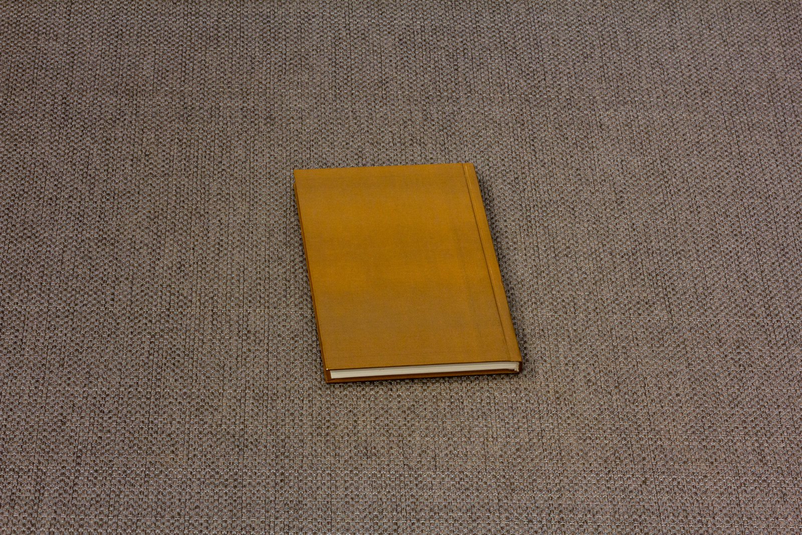 Кислюк, В.А. Человек с книгой.