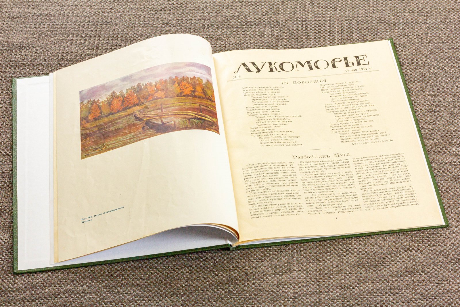Лукоморье номер 5.