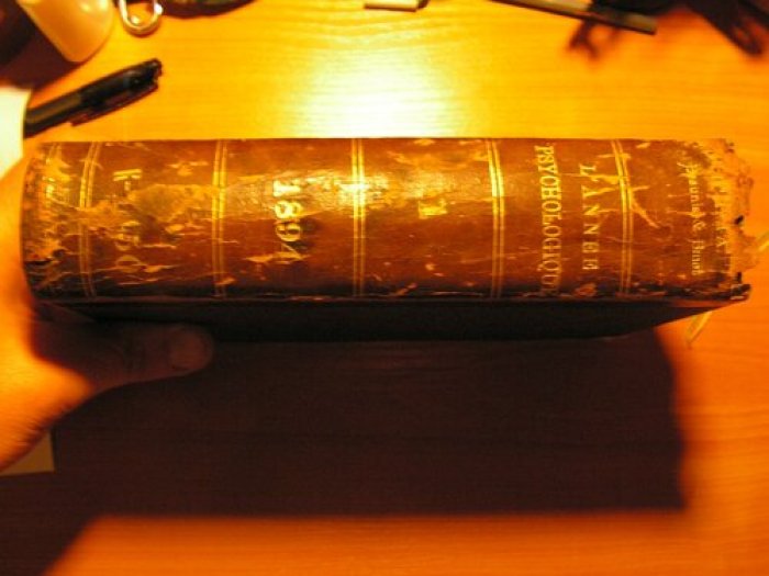 L’Année Psychologique (Психологический ежегодник). 1-й выпуск за 1894 год (1ère année 1894). Paris: Ancienne librarie Germer Baillière et Cie, 1895. 619 с.