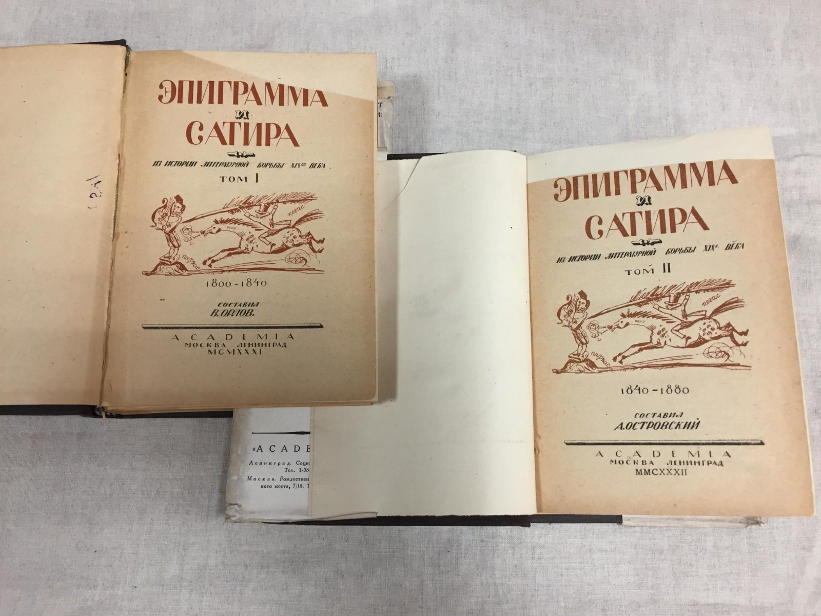 Эпиграмма и сатира: из истории литературной борьбы XIX века (в 2 томах)