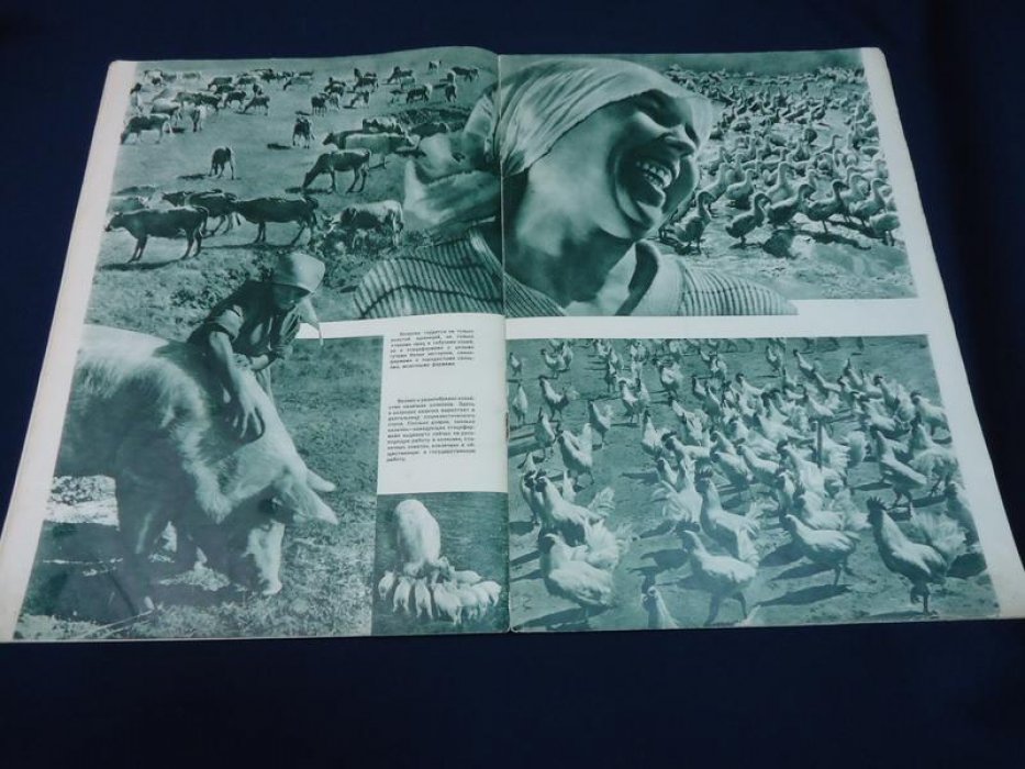 «СССР на стройке» №1 (1939). Ежемесячный иллюстрированный журнал о советском казачестве