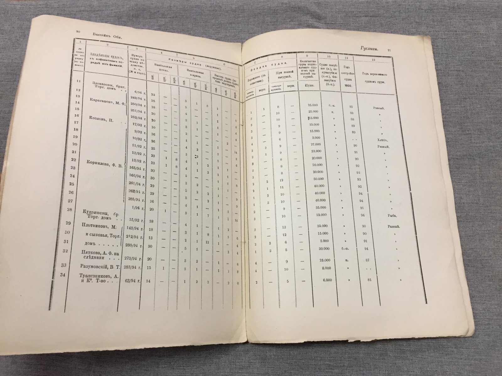 Речной флот Азиатской России: бассейн реки Оби (сведения на 1 января 1895 года)