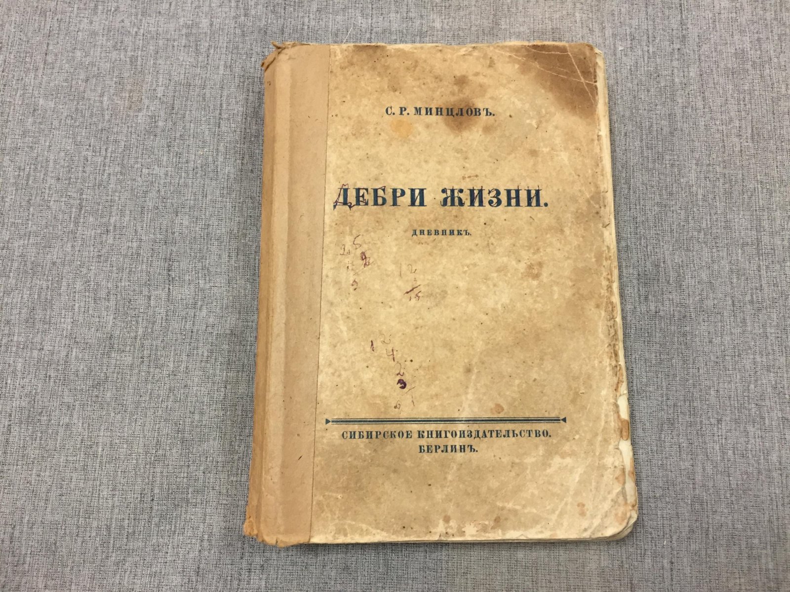 Дебри жизни. Дневник 1910–1915 гг. Урал. Новгород. Малороссия